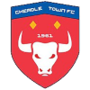 Cheadle Town Stingers